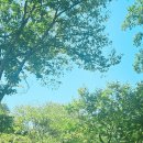 구곡2천 이미지