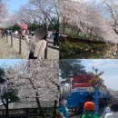 진해구 ⓒ-27 | 2026년 진해군항제 주차 서울에서 당일치기 후기