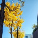 남구-79 | (대구 남구) 브리에 브레드/대명초밥/카페 새소리_앞산에서 소중한 늦가을 먹부림 데이트