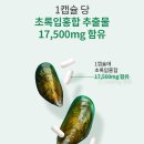 초록비타민 이미지