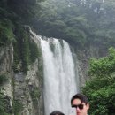 강정동-77 이미지