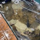 동해소금길펜션 이미지