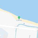 포항월드아트송 페스티벌 이미지