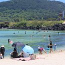 제주와서 이미지