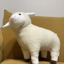 길자목장 | [강원도여행3일차] 대관령 양떼목장 풍경에 한 번 귀여운 양에 한 번 심쿵! 양 먹이주는 이색체험