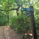 달마을공원 네이버블로그