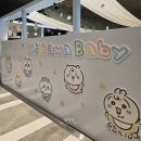 베이비가든 | 센텀 신세계 팝업 하이퍼가든 포토존 치이카와 베이비 기간 및 방문 후기
