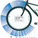자전거 전용보험 ‘헛바퀴’…도난, 파손은 보상에서 제외 이미지