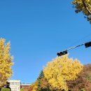 순환로 405번길 이미지