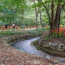 함양중앙상설시장 이미지