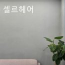셀르헤어