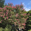 백일여관 이미지