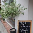 강남역 디저트 카페 썸띵어바웃커피 세 번째 재방문 꼭 먹어야 할 추천메뉴
