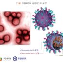 굿모닝소아청소년과의원 네이버블로그