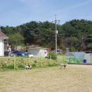 호반애견훈련소 이미지