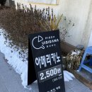 퀴시사나