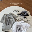 11500-15-13-37 이미지