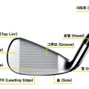 드림골프클럽 이미지