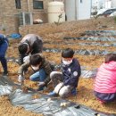 사창농장 이미지