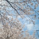 진관중학교 앞 이미지