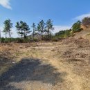 석포공인중개사사무소 이미지