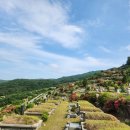 삼덕공원 앞 이미지