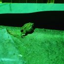 풍원농장 이미지