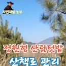 더드림팜
