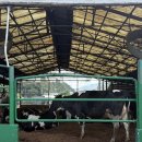 부산 근교 아이랑 가볼만한 곳 추천 <환희목장>