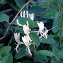 바람과 구름 이미지