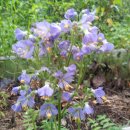 자연농원 이미지