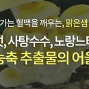 샘식품