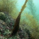 남해-291 이미지