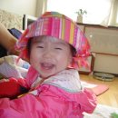 보민