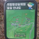 숲체원 | 희망리턴패키지 심리회복지원 국립횡성숲체원 후기