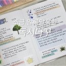 어른아이책방