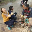 농부네 텃밭 이미지