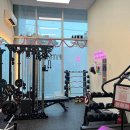 첨단월계 이미지