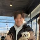 산호애견 이미지