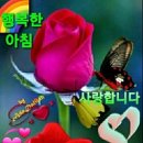 대독장 네이버블로그