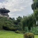 수원-0731 이미지