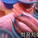 기장카마스터