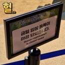11650-1-10-685 | [2026] 포켓몬 30주년 '서울숲 포켓몬 시크릿 포레스트' 위치 웨이팅 실시간 후기❗️