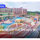 동화종합설비 | 소노벨 천안 EAST동 최대 68퍼 할인 충남 워터파크 리조트 14만원대 소노위크 라이브 특가