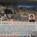 지리산산골농장 이미지