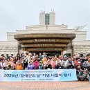제주신라항공여행사 트레벌데일리