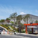 뮤동물병원 이미지