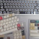 공PC | 비싼 GMK 대신 클래키 빌드에 1.7mm 반투명 PC키캡을 씌우면