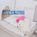 베비돔 | 시원한강아지방석 찾다가 정착한 베비돔 강아지쿨매트 듀라론방석