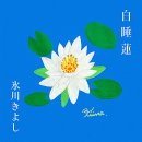 赤いスイートピー - 氷川きよし (2025年 9月 3日 発売 / 白睡蓮 c/w) 이미지